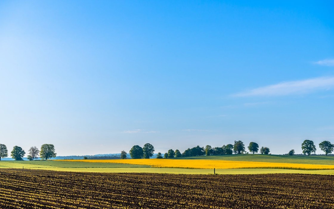 WEBSITE IMAGE SUSTAINABILITY