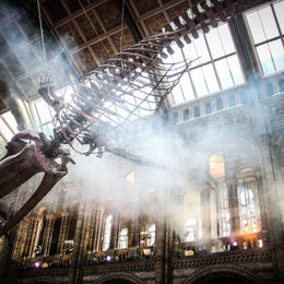 BAZ Compass Event 2022 Nat. Hist. Museum 17